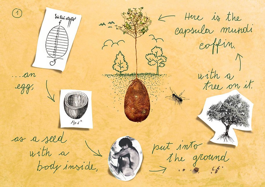 sacred memory forest biodegradable burial pod capsula mundi 2
