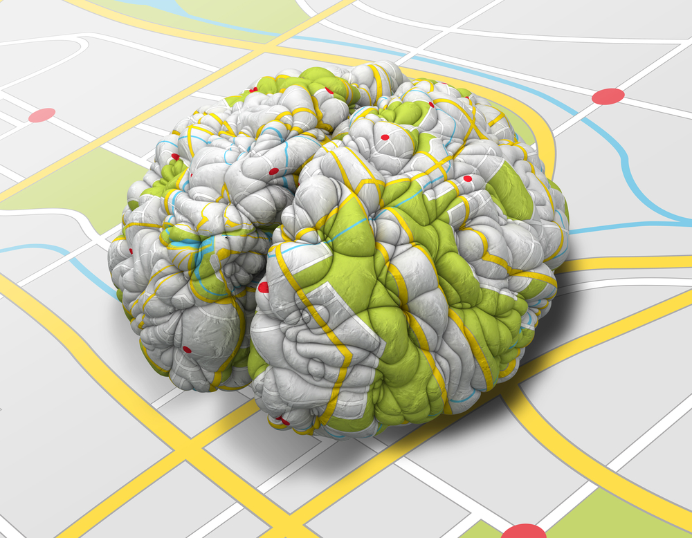 خريطة الدماغ، صورة تعبيرية| shutterstock