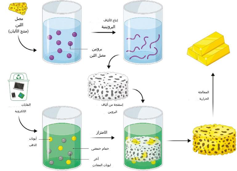 إنفوجراف لخطوات استخلاص الذهب من النفايات الإلكترونية، كما شرحها الباحثون في دورية  "أدفانسيد ماتريلز"  ( دورية أدفانسيد ماتريلز)