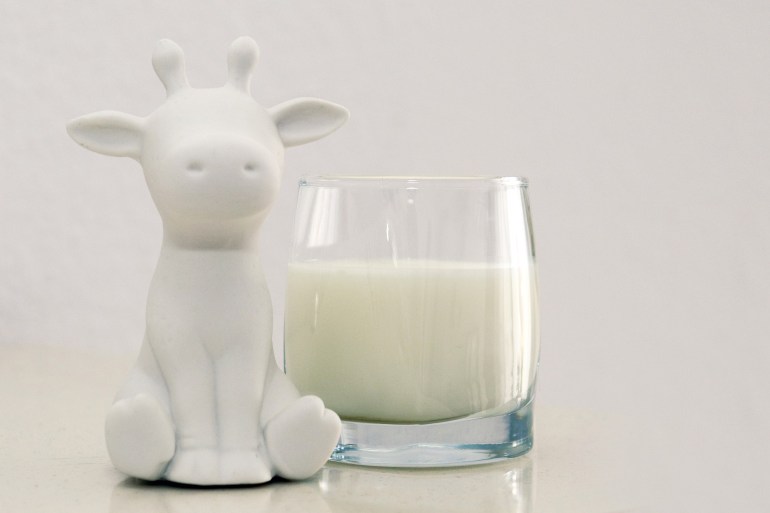الحليب البقري في مواجهة الحليب النباتي.. أيهما أقوى؟