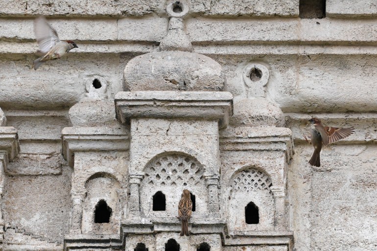 قصور الطيور بتركيا.. رحلة عبر الزمن تُغرد بالرحمة على مر العصور