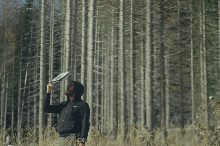 مفاجأة علمية.. هل تتوقع "أشجار التنوب" الظواهر الفلكية قبل حدوثها؟ upload image