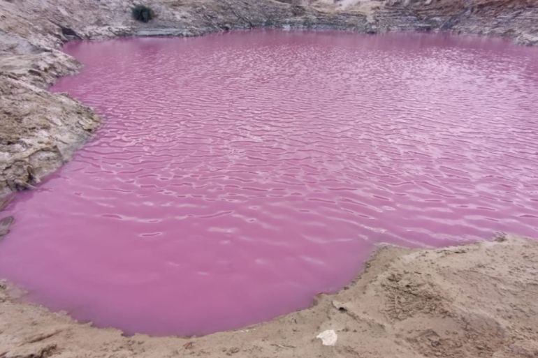 ما سر ظهور وانتشار "البرك الوردية" في البحر الميت؟ upload image