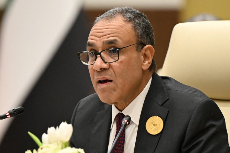 مصر تؤكد على أهمية استقرار ليبيا ولبنان وسوريا upload image