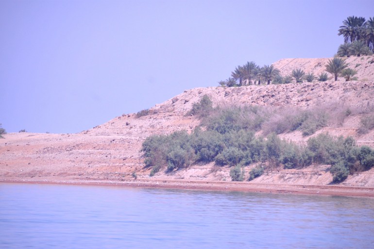 ما سر ظهور وانتشار ما سر ظهور وانتشار