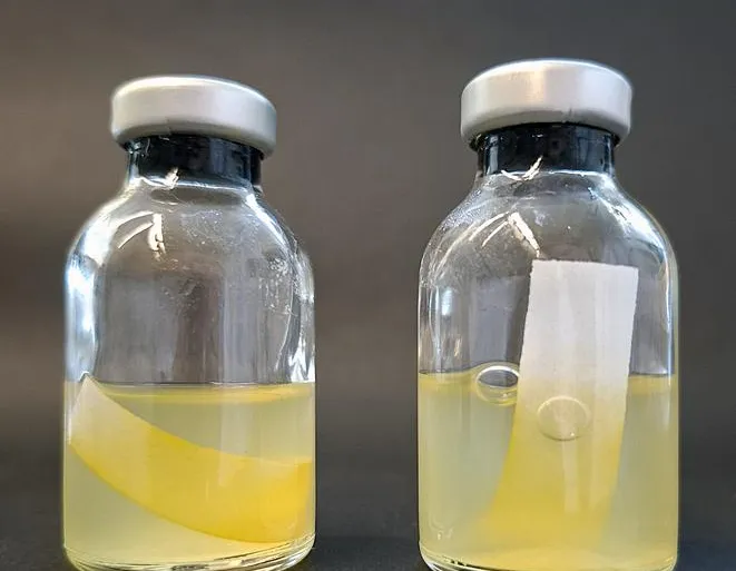 سلاح البكتيريا الخفي.. صبغة صفراء "عجيبة" تصنع الوقود وتقتل الجراثيم