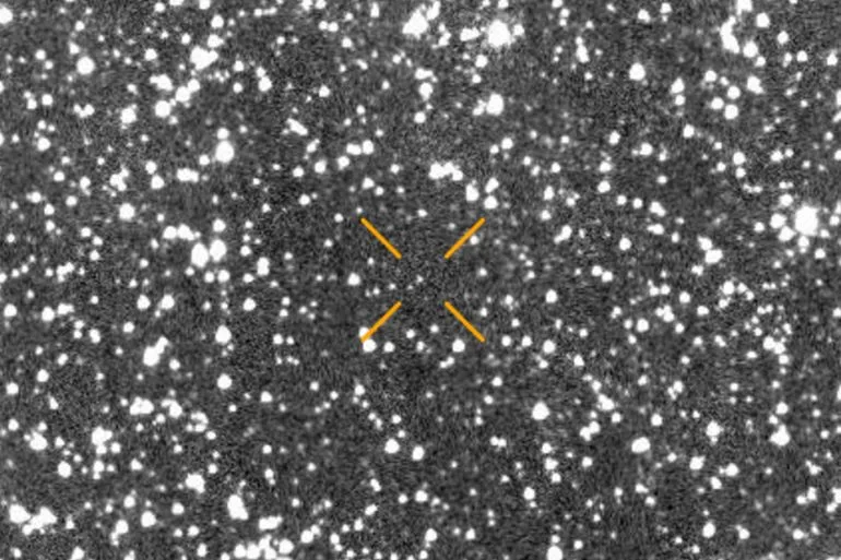 المذنب الضيف