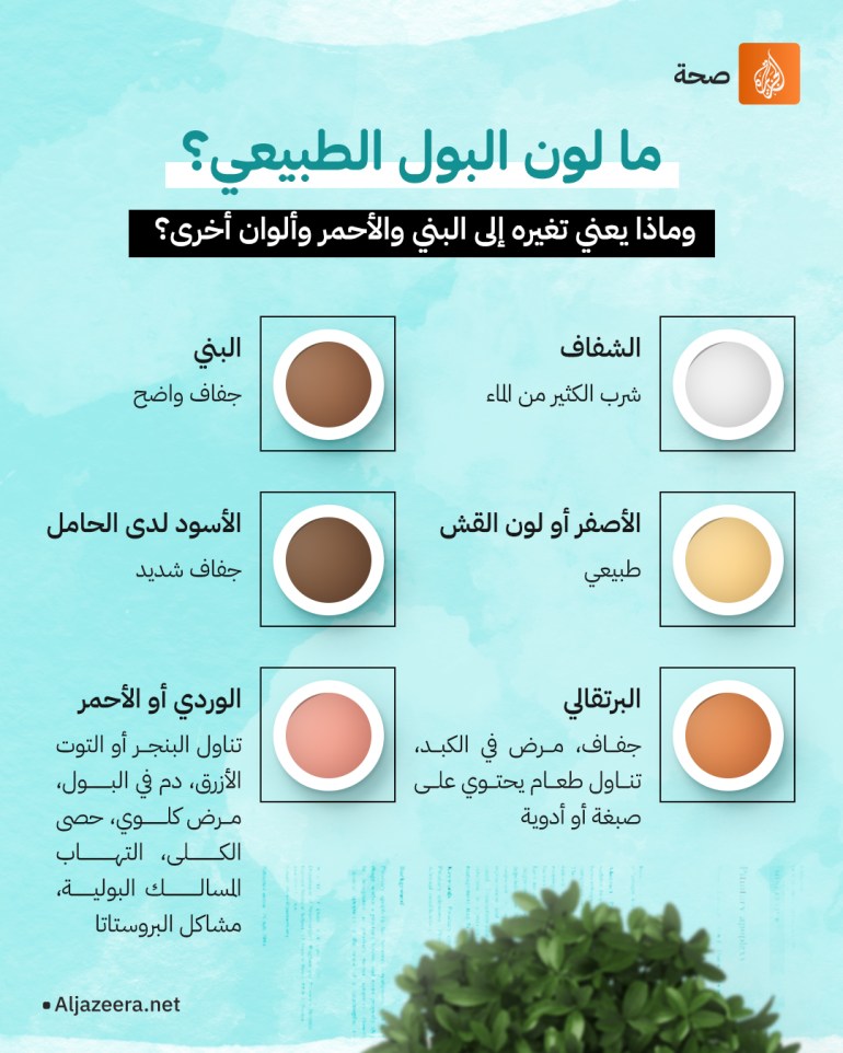 هل عليك أن تمتنع عن شرب الكافيين لتتجنب الجفاف؟