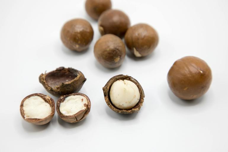 المكاديميا أكثر المكسرات المنسيّة رغم فوائدها المذهلة المكاديميا أكثر المكسرات المنسيّة رغم فوائدها المذهلة