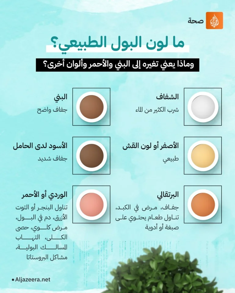 مشاكل الكلى الأكثر شيوعا لدى كبار السن والوقاية منها