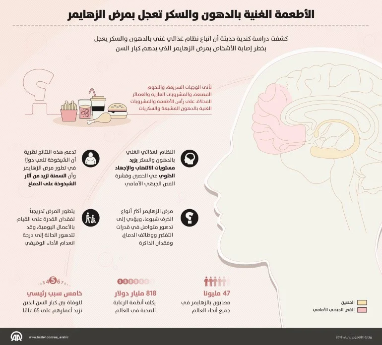 ماذا تعرف عن حمية مايند لمكافحة الخرف؟