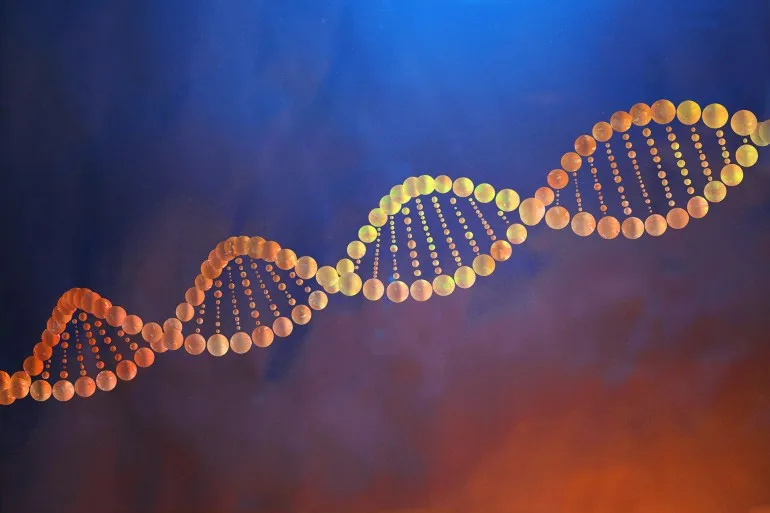 الحمض النووي