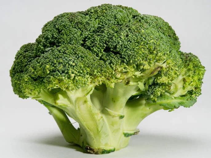 ادعم عظامك لتدعمك.. 6 أطعمة مدهشة في تقوية العظام