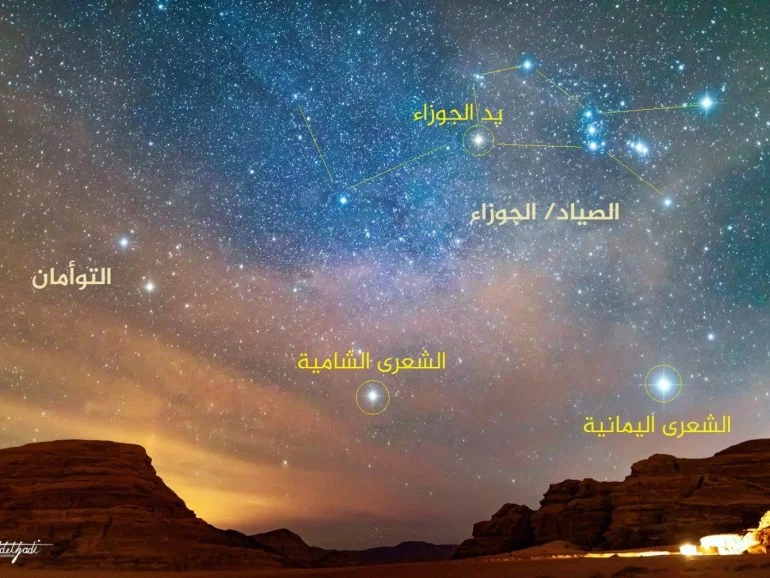 "نبتة بلايا".. هل بنى المصريون مرصدا فلكيا قبل 7000 سنة؟