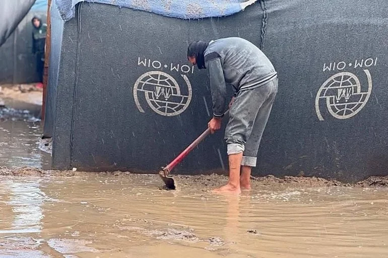 288 ألف أسرة يبيتون بخيام بالية بغزة وحماس تطلق نداء للعالم