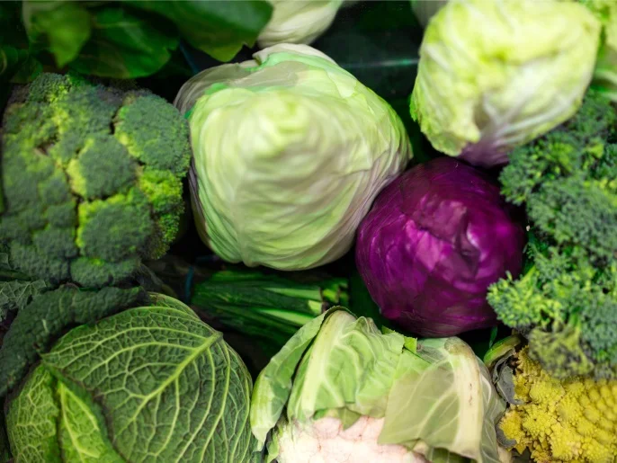 خليط البروكلي والكرنب.. اكتشاف يمهّد لظهور محاصيل جديدة بالكامل