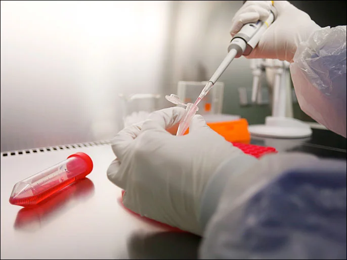 خليط البروكلي والكرنب.. اكتشاف يمهّد لظهور محاصيل جديدة بالكامل