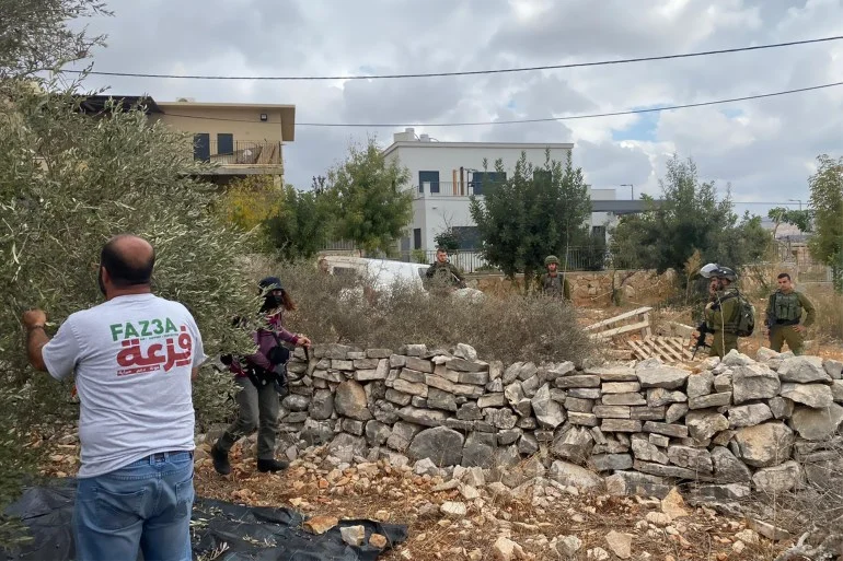 لوموند: أجانب أوقفوا خلال قطف الزيتون ينددون بإستراتيجية ترهيب إسرائيلية