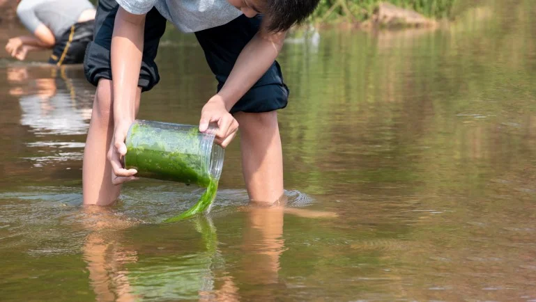 "حرير الماء" في صحراء الجزائر.. سلاح كيميائي مرشح لهزيمة السرطان Asian boy holds transparent plastic tube to keep freshwater algae which grows and flowing along the river to study the river's cleanliness, idea for ecosystem, ecoeffect and pesticide effect.; Shutterstock ID 2267348475; purchase_order: s; job: ; client: ; other: