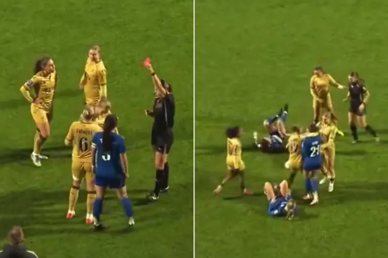 ضربة قاضية من الفنون القتالية