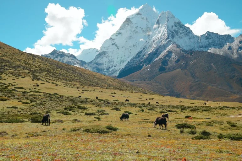 الجبال والمناظر الطبيعية التي تخطف الأنظار